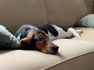 Meet your Posher, Jennifer